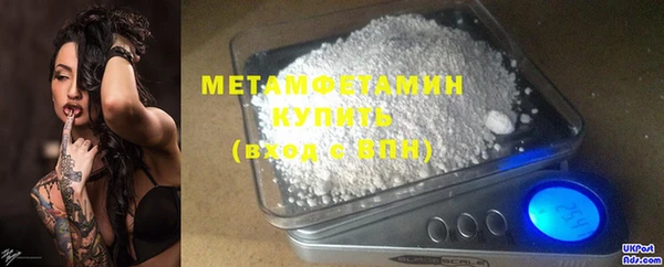 прущие грибы Зеленодольск