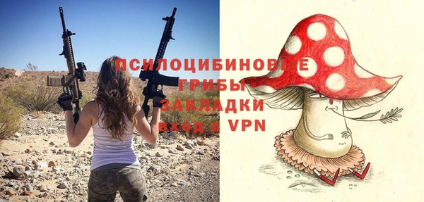 прущие грибы Зеленодольск