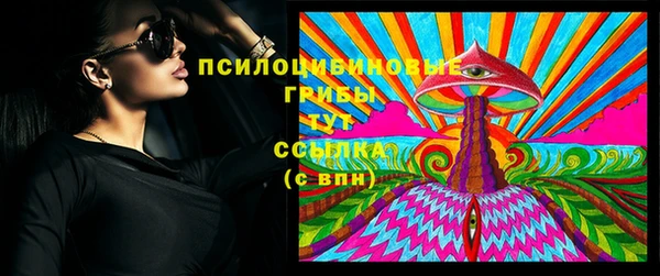 прущие грибы Зеленодольск