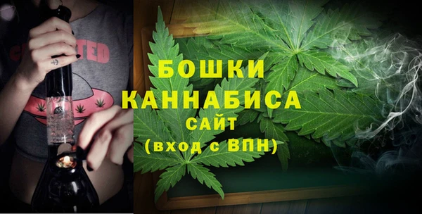 прущие грибы Зеленодольск